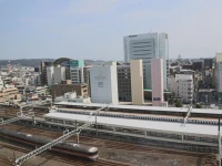 Hotel Associa Shizuoka 4*