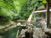 Sakunami Onsen Yuzukushi Salon Ichinobo 