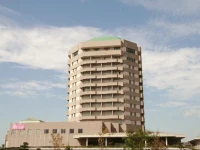 Sendai Joytel Hotel 