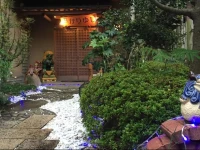 Okinawa Minshuku Kariyushi 