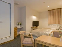 Rex Tachikawa Hotel 2*