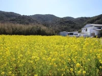 Organic B&B Maruei 