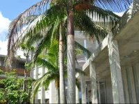 Iriomotejima-Jungle Hotel Painumaya 