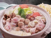Hotel Ambient Tateshina Cottage 3*