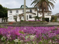 Pension Nanohana 