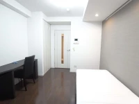 Palace Studio Akasaka Nibankan 3*