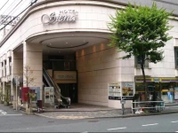 Hotel Siena 