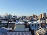 Tokyo Guest House B&B Hostel 1*