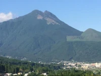Yufuin Tsubaki 
