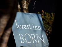 Forest Inn Born 