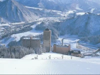 NASPA New Otani Hotel 4*