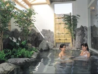 Hotel Yuzawa Yuzawa Denkiya 3*