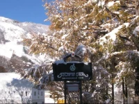 Grindelwald 2*