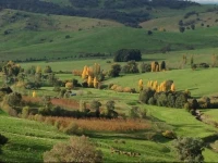 Moorallie Cottage Farmstay 