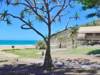 Agnes Water Beach Holidays 