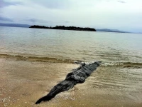 Discover Bruny Island Holiday Accommodation 