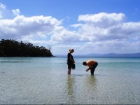 Bruny Island Escapes and Hotel Bruny 