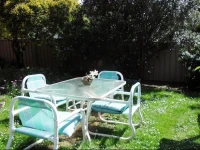 Picnics B & B 
