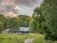 Abelia House 