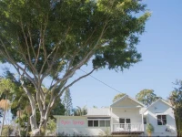 Byron Springs 