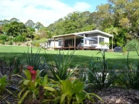 Lily Pad at Byron Bay 