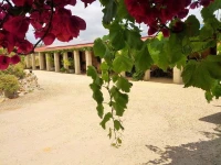 Corinium Roman Villa 