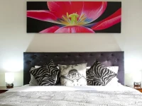 Lake Wendouree Luxury Apartments on Webster 