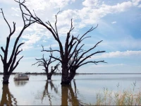 Discovery Parks вЂ“ Lake Bonney 
