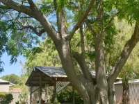 Busselton Jetty Chalets 