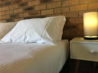 Bega Downs Motor Inn 