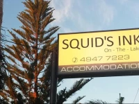 Squids Ink Belmont 