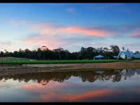 Balgownie Estate Winery - Bendigo House 