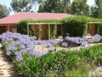 Bendigo Short Term Accommodation 