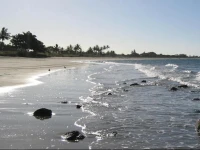 Tropical Beach Caravan Park 