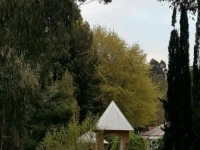 Country Cottages of Bridgetown 