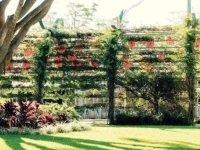 Vine Serviced Apartments 