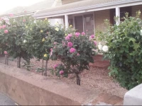 My Nannas Place 4*