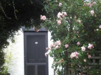 Ivy on Glenelg 