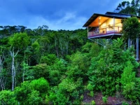 OReillys Rainforest Retreat 
