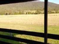Gumnuts Farm Resort 