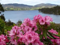 Donalea Bed and Breakfast & Riverview Apartment 
