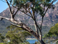 Freycinet Haven 