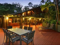 Wait A While Daintree 