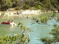 Crayfish Creek Van & Cabin Park 