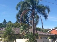 Cronulla Beach House B&B 