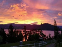 Ambience on Huon Bed & Breakfast 