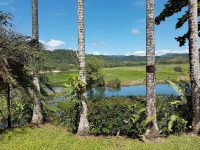 Daintree Village Bed and Breakfast 4*