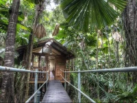 Daintree Wilderness Lodge 