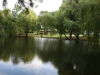 Denman Van Village 3*