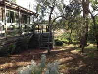 Cozy Stay Cottage 